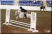 4H-State-Show-09_115.jpg