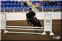 4H-State-Show-09_116.jpg