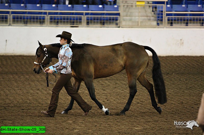 4H-State-Show-09_308.jpg