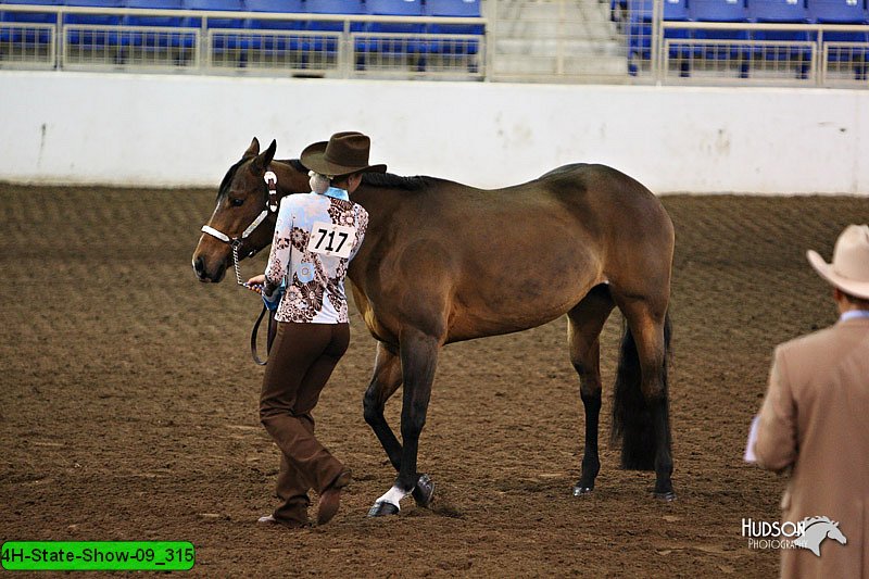 4H-State-Show-09_315.jpg