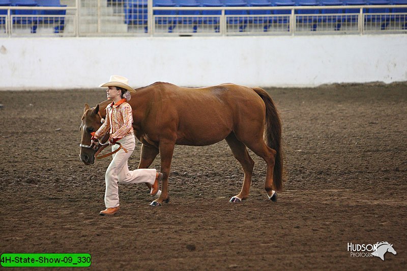 4H-State-Show-09_330.jpg