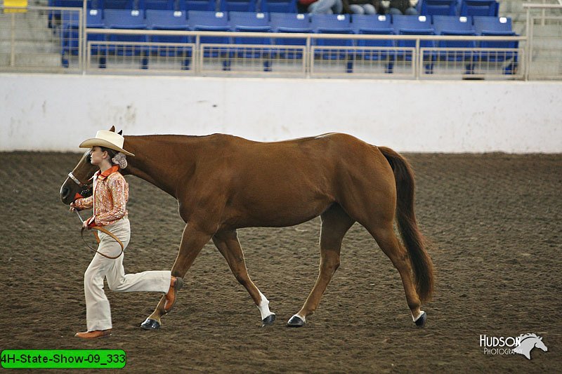 4H-State-Show-09_333.jpg