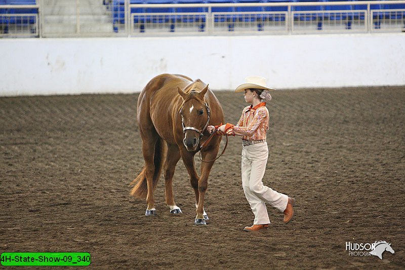 4H-State-Show-09_340.jpg