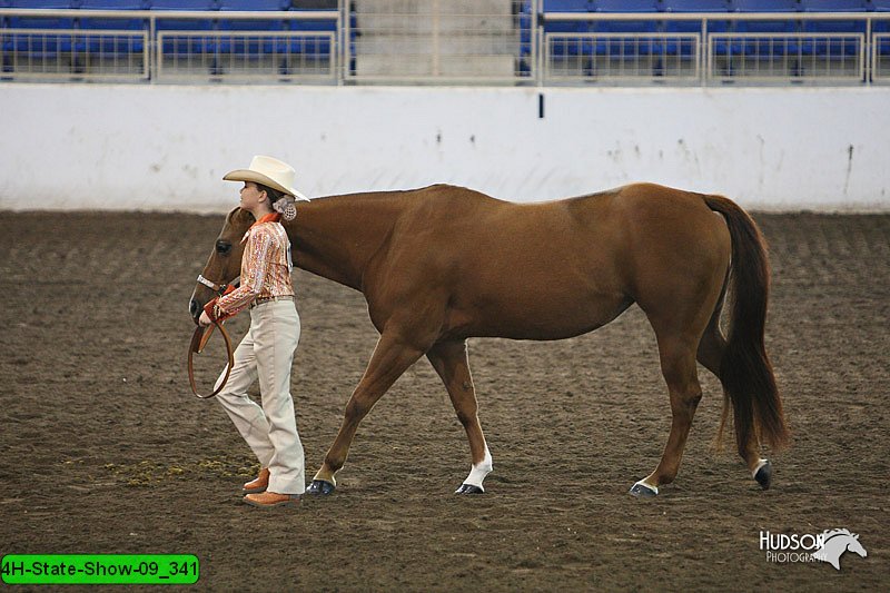 4H-State-Show-09_341.jpg