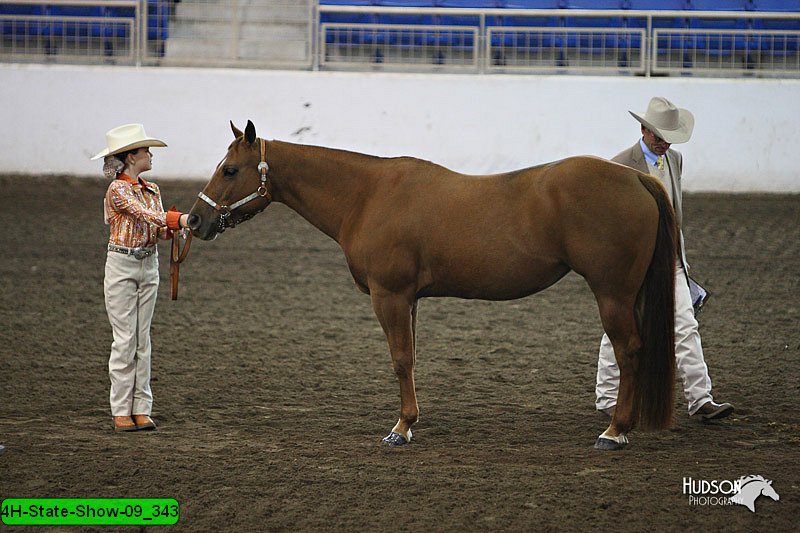 4H-State-Show-09_343.jpg