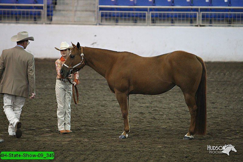 4H-State-Show-09_345.jpg