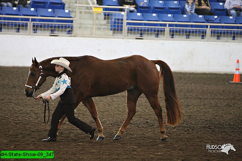 4H-State-Show-09_347.jpg