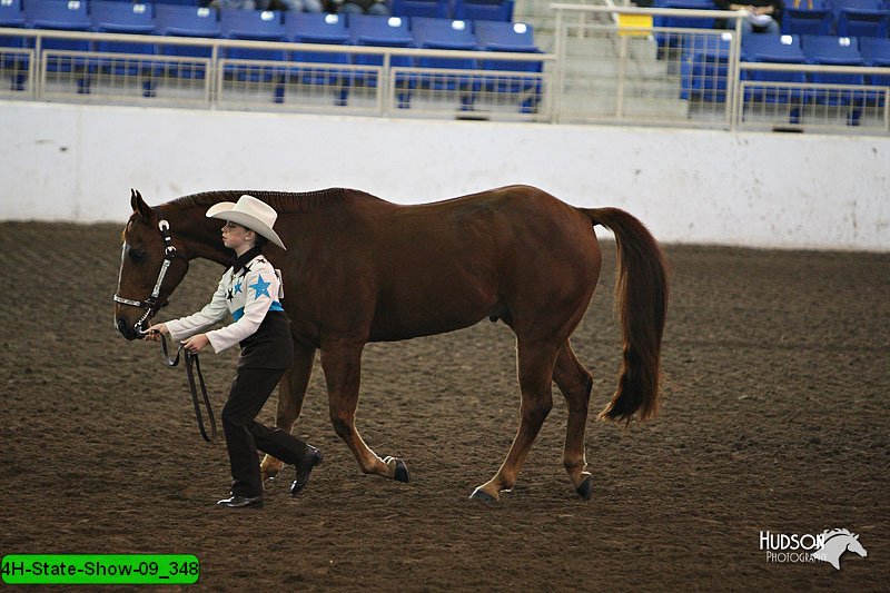4H-State-Show-09_348.jpg