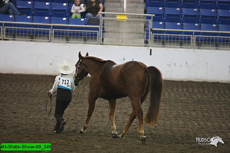 4H-State-Show-09_349.jpg