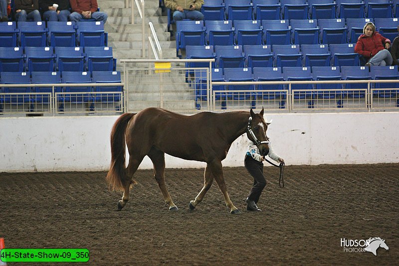 4H-State-Show-09_350.jpg