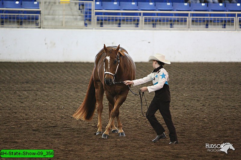 4H-State-Show-09_356.jpg