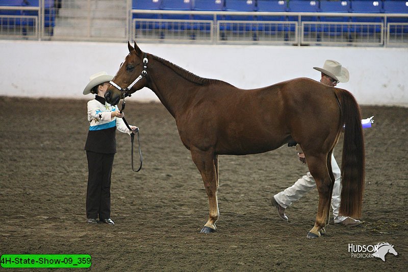 4H-State-Show-09_359.jpg