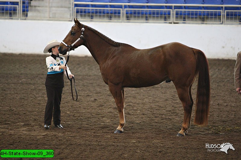 4H-State-Show-09_360.jpg