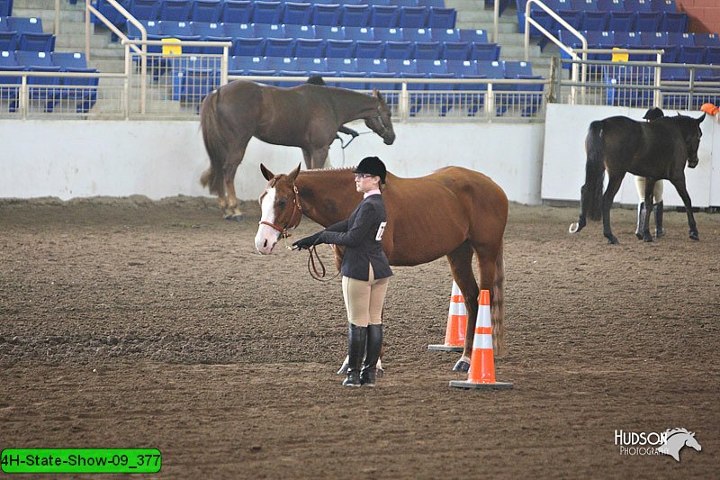 4H-State-Show-09_377.jpg