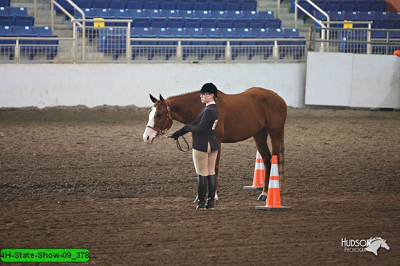 4H-State-Show-09_378.jpg
