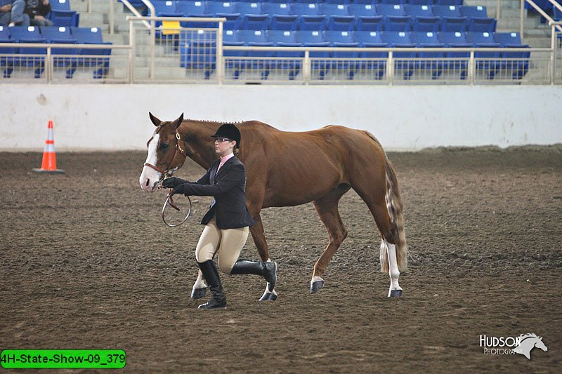4H-State-Show-09_379.jpg