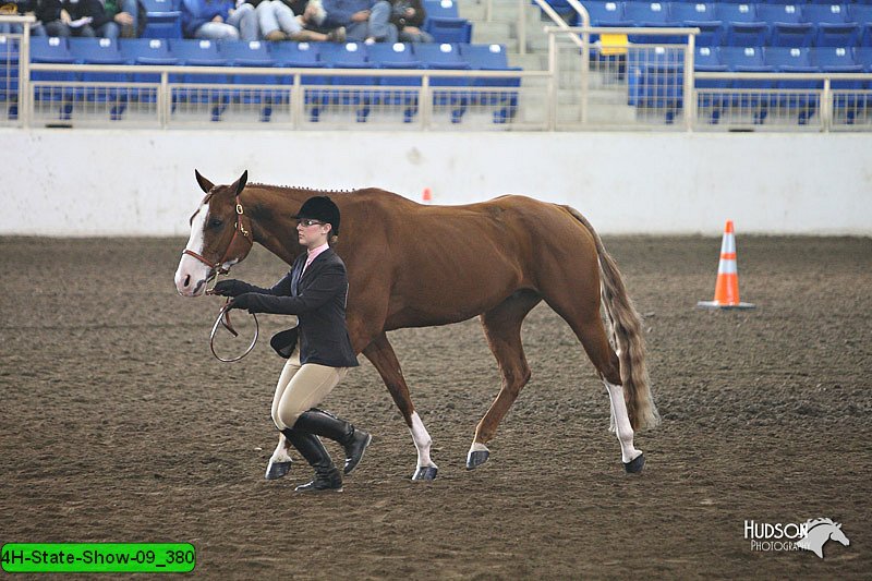 4H-State-Show-09_380.jpg