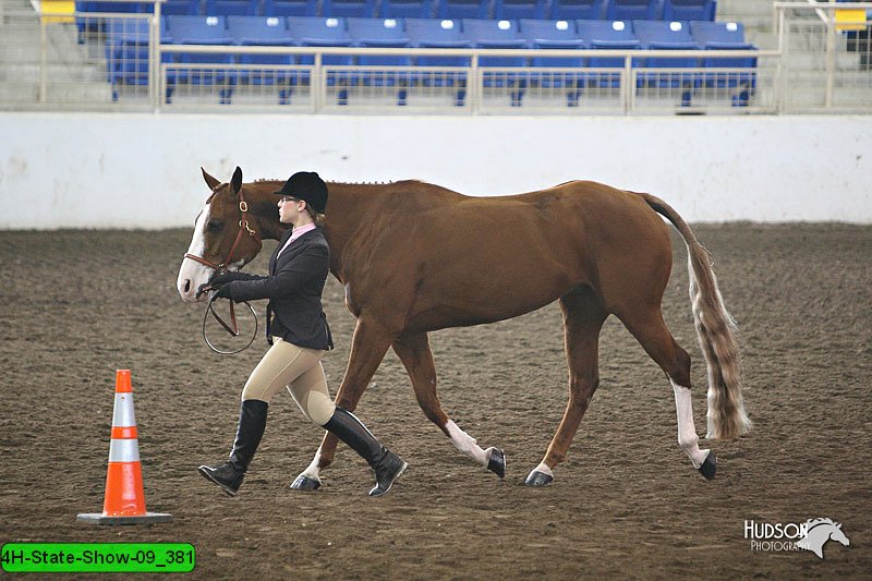 4H-State-Show-09_381.jpg