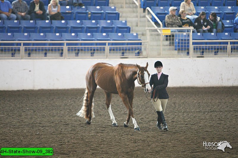 4H-State-Show-09_382.jpg