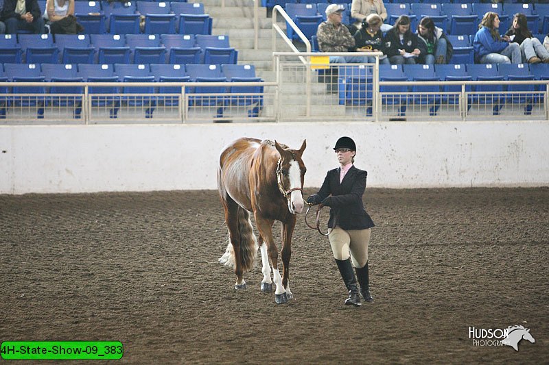 4H-State-Show-09_383.jpg
