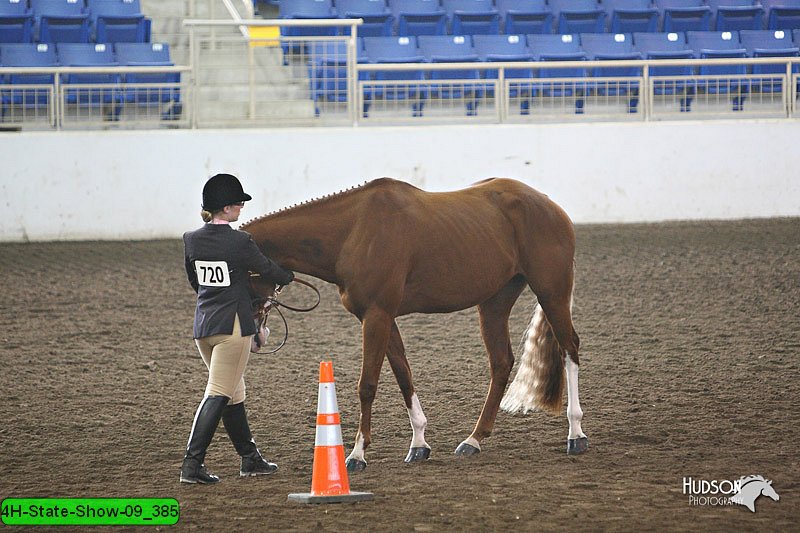 4H-State-Show-09_385.jpg