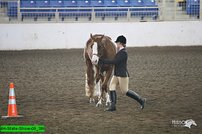 4H-State-Show-09_386.jpg