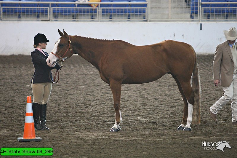 4H-State-Show-09_389.jpg