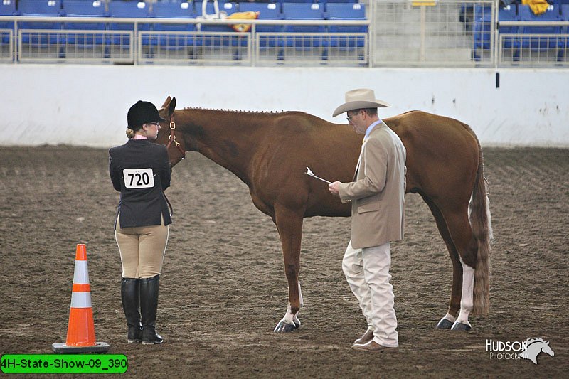 4H-State-Show-09_390.jpg