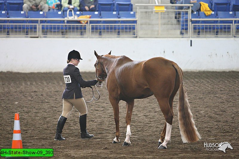 4H-State-Show-09_393.jpg