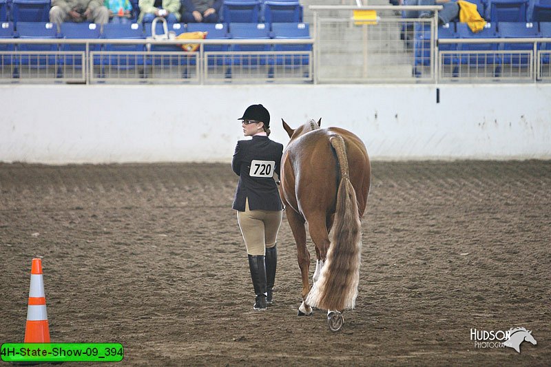 4H-State-Show-09_394.jpg