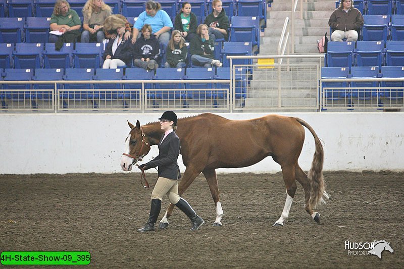 4H-State-Show-09_395.jpg