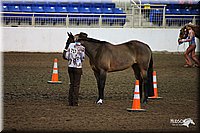 4H-State-Show-09_304.jpg