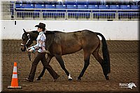 4H-State-Show-09_309.jpg