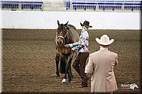 4H-State-Show-09_314.jpg