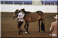 4H-State-Show-09_315.jpg