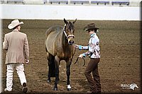 4H-State-Show-09_317.jpg