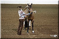 4H-State-Show-09_318.jpg