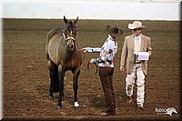 4H-State-Show-09_319.jpg