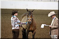 4H-State-Show-09_320.jpg