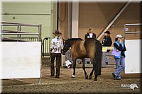 4H-State-Show-09_326.jpg