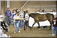 4H-State-Show-09_328.jpg