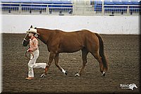 4H-State-Show-09_332.jpg