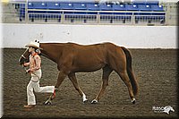 4H-State-Show-09_333.jpg