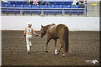 4H-State-Show-09_334.jpg