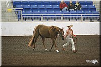 4H-State-Show-09_336.jpg