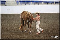 4H-State-Show-09_340.jpg