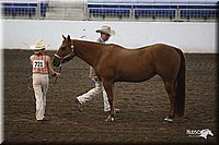 4H-State-Show-09_342.jpg