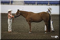 4H-State-Show-09_343.jpg