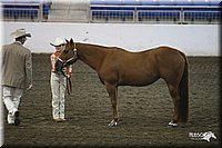 4H-State-Show-09_345.jpg