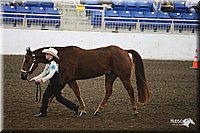 4H-State-Show-09_347.jpg